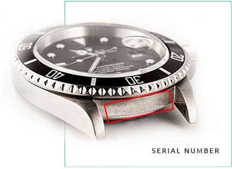 rolex date serial number